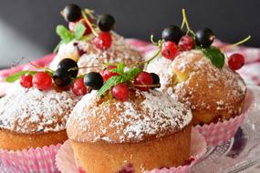 muffins in sugar powder