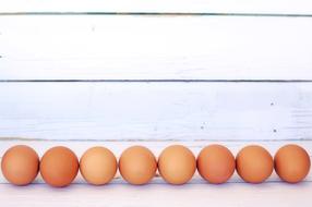 row of brown chicken eggs