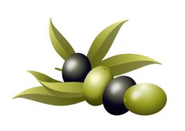 Beautiful, shiny, ripe, black and green olives with green leaves, at white background, on clipart