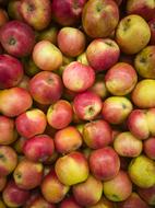 Apples Fruit in Market
