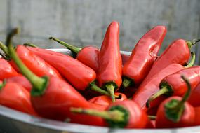 Chili Red