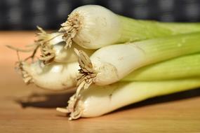 Organic dainty Leek Spring Onions