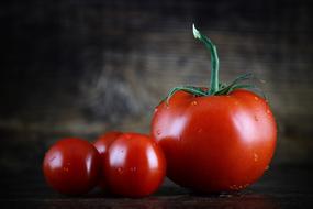 Red glossy tomatoes in water drops