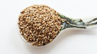 isolated sesame seeds
