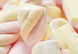 Colorful splendid Bacon Marshmallow