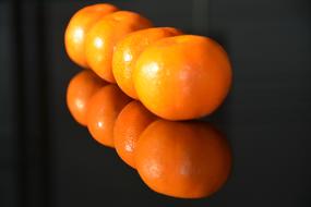 splendid Fruit Orange