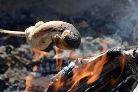 Cooking snake bread, on the stick, above the colorful, burning fire in the wood