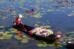 Vietnam Boat Natural