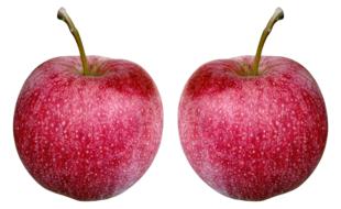 red juicy apples on a white background