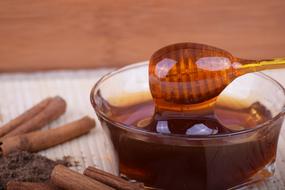 honey and cinnamon sticks