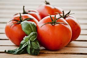 Italian tomatoes and basil