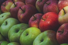 Beautiful and colorful, ripe apples for sale