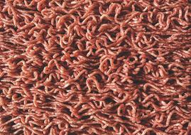 Minced Meat Raw