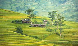 panoramic view of the village in the canyon of vietnam