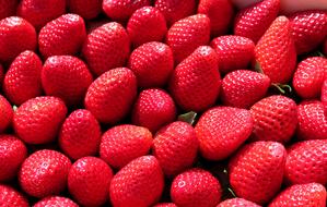 fresh Strawberry, food background