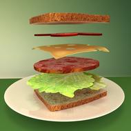 drawing of the sandwich construction with colorful ingredients