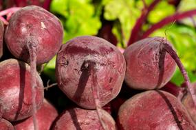 Beetroot Vegetables