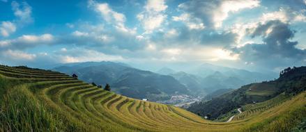rice paddies in the hills in cambodia
