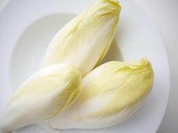 healthy Chicory Vegetables Food