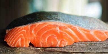 Salmon, slice of raw Fish close up