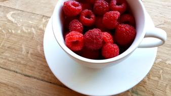 Raspberries in white cup