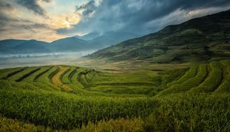 green meadow Agriculture Asia