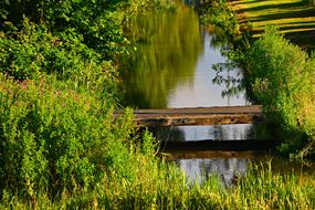 Ditch Water