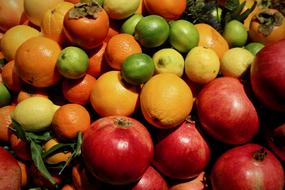 colorful harvest of exotic fruits