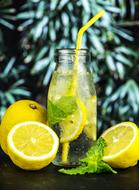 beverage with lemons