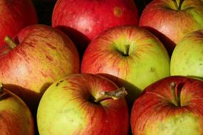 ripe apples as a source of vitamins