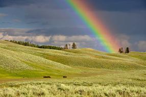 Beautiful and colorful rainbow above the green hills in the countryside