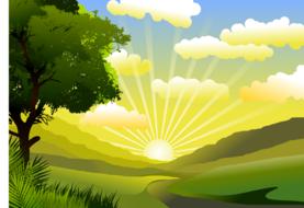 sunny landscape as a colorful illustration