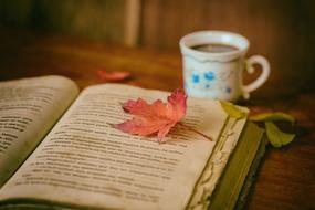 autumn leaf on an open book and a cup of coffee