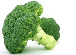 green broccoli on the white background