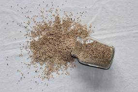 sprinkled seeds on the table