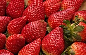 Strawberries Red Sweet close-up