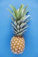 pineapple on the blue background