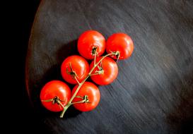 splendid Tomatoes Food