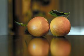 Citrus Oranges Fruits