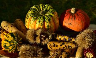 Autumn Decoration pumpkin