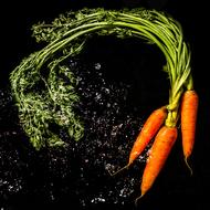 Bio Carrots