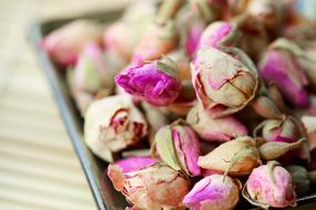 dried rosebuds close up in blurred background