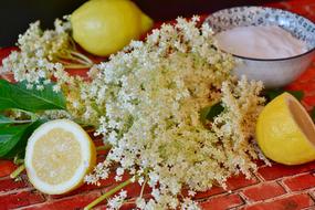 sliced lemons near elder flowers