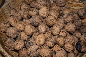 Beautiful, brown walnuts, in the shell, in the wooden bowl