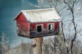red wood birdhouse
