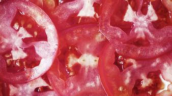 sliced red tomatoes close-up