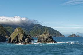 photo of Arapawa island in New Zealand