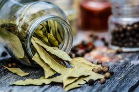 bay leaf in a transparent jar and peppercorns