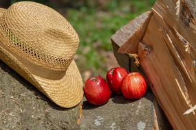 straw hat and red apples on stone