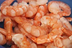 red Shrimp Seafood